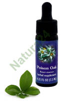 FES Poison Oak 7,5 ml krople