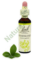 16. HONEYSUCKLE / Wiciokrzew przewiercień 20 ml Nelson Bach Original Flower Remedies