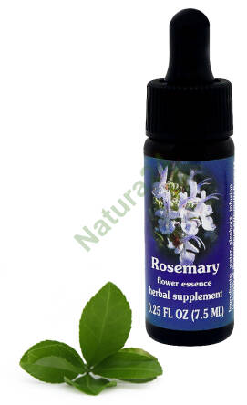 FES Rosemary 7,5 ml krople