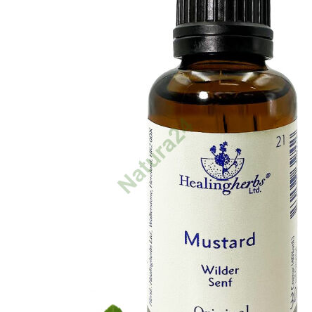 21. MUSTARD / Gorczyca polna 10/30 ml lub globulki 15 g - 3