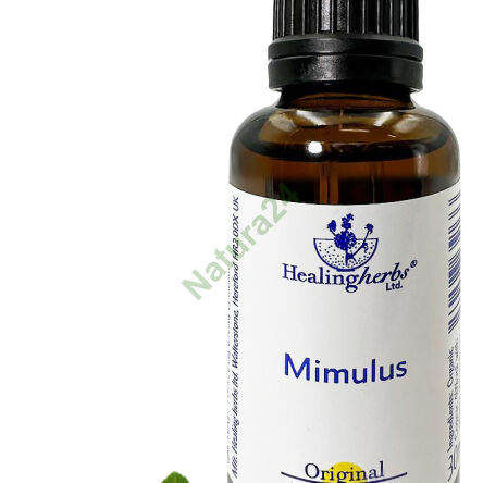 20. MIMULUS / Kroplik Żółty / Figlarek 10/30 ml lub globulki 15 g - 3